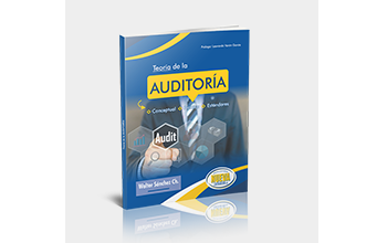 Teoria de la Auditoria
