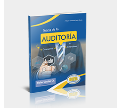 Teoria de la Auditoria